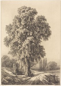 almträdet, 1840.