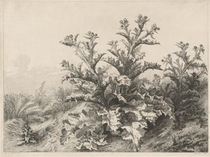 Den stora tisteln (Le Grand Chardon) av Eugene Bléry
