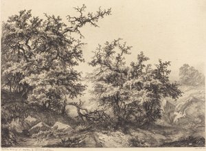 Tornbuskar, 1840.