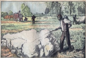 Förstörelsen av muloterna (Apodemus) av den kvävande gasen i gryningen - gravyr av Damblans - le-pelerin från 1923 av Eugene Damblans