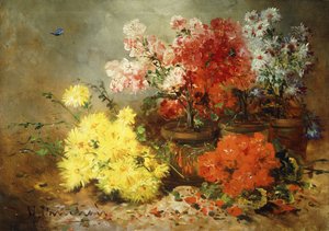 Tusenskönor, Begonia och andra blommor i krukor,