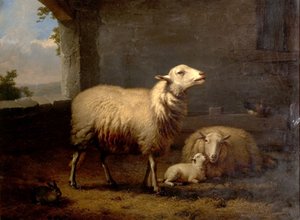 Får, 1876