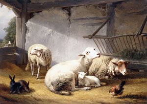 Får, kaniner och en kyckling i en lada, 1859