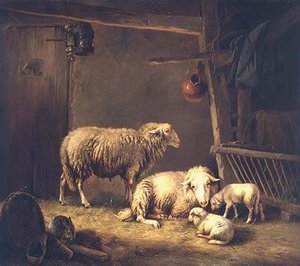 Får i en lada