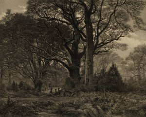 Fontainbleaus skog