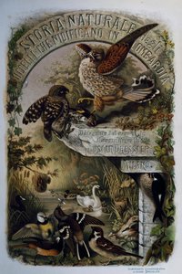 Titelsida av Natural History of Birds that häckar i Lombardiet, av Eugenio Bettoni (1845-1898), gravyr av Oscar Dressler, Italien