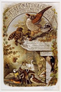 Frontispice från Natural history of birds that häckar i Lombardiet (Chromolithography