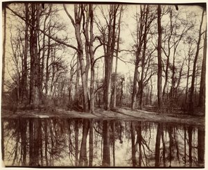 Saint-Cloud av Eugène Atget