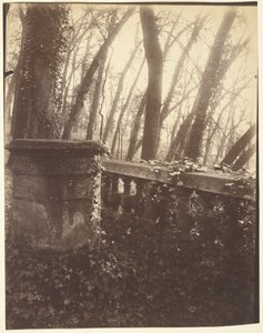 Saint-Cloud Park, Paris av Eugène Atget