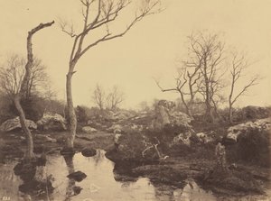 Belle Croix, ca 1858 (foto) av Eugène Cuvelier