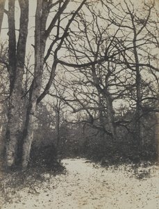 [Fontainebleau Forest], ca. 1860. av Eugène Cuvelier