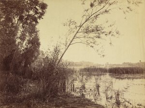 Marais de Fampoux,tidigt 1860-tal (foto) av Eugène Cuvelier