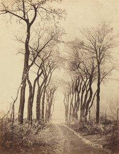 Väg och träd med rimfrost, 1860.