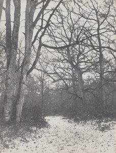 Vägen i skogen, 1860-1863.