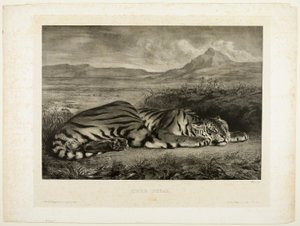 Bengalisk tiger av Eugène Delacroix