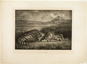 Bengalisk tiger av Eugène Delacroix