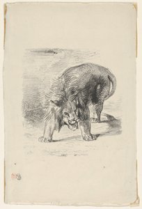 Lion Standing, 1833., 1833. av Eugène Delacroix