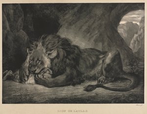 Lejon av Atlasbergen av Eugène Delacroix
