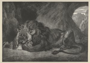 Lejon av Atlasbergen, 1829-30., 1829-30. av Eugène Delacroix