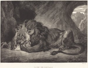 Lion från Atlasbergen Lion de l