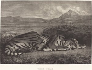 Royal Tiger (Tigre Royal) av Eugène Delacroix