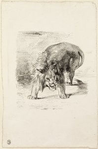 Stående lejon av Eugène Delacroix