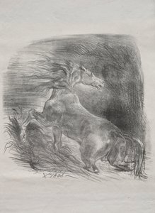 Den vilda hästen, eller den skrämda hästen som lämnar vattnet av Eugène Delacroix