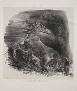 Den vilda hästen, eller den skrämda hästen som lämnar vattnet av Eugène Delacroix