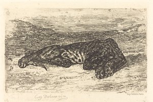 Tiger som sover i öknen av Eugène Delacroix