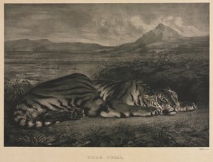 kunglig tiger av Eugène Delacroix