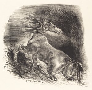 Wild Horse Coming Out of the Water Cheval sauvage, 1828. av Eugène Delacroix