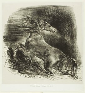 Vild häst eller skrämd häst som lämnar vattnet av Eugène Delacroix