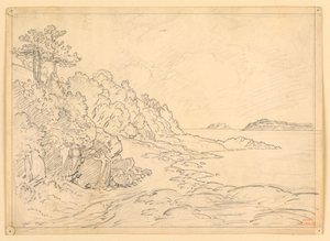Sea Shore