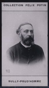 Armand Sully Prudhomme (1839) (s/v foto) av European Photographer