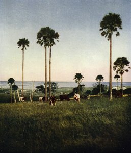 Australien, Illawarra (foto) av European Photographer