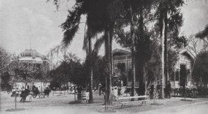 Brasilien: San Paolo, Jardim da Luz (svartvitt foto) av European Photographer