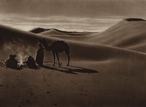 Kväll i öknen (svartvitt foto) av European Photographer