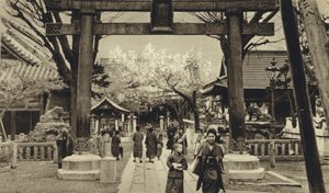 Japan, gata i Tokyo, tid för körsbärsblomning (s/v foto) av European Photographer