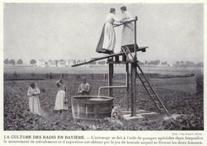 Rädiskulturen i Bayern (s/v foto) av European Photographer