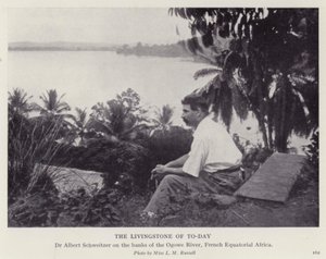 Dagens Livingstone (s/v foto) av European Photographer