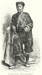 A Lama of Lassa (gravyr) av European School
