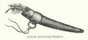 Afrikansk smörjningsfjäder (gravyr) av European School