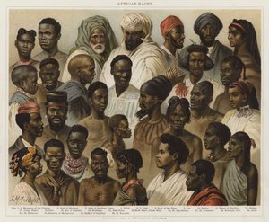Afrikanska raser av European School