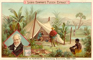 Alexander von Humboldts expedition till Sydamerika, 1800-1804 av European School