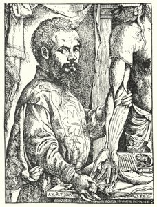 Andreas Vesalius (gravyr) av European School
