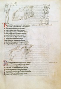 Bestiary: the Horse (bläck på veläng) av European School