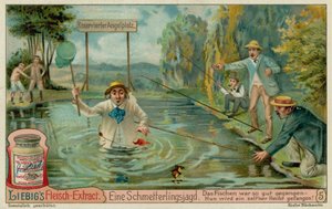 Fjärilsjakt och fiskare av European School