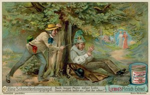 Fjärilsjakt och en sovhytt av European School