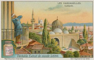 Uppmaning till bön, Gallipoli av European School