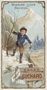 Carl Linnaeus, svensk botaniker och zoolog, som barn av European School